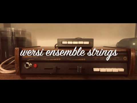 WersiVoice - German Vintage Phaser - Full Analog Leslie Rotor Simulation w/ BBD - Ensemble Chorus and Vibrato Effect Box image 9