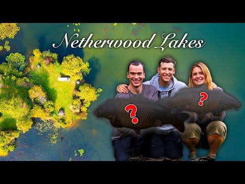 This Is A Carp Fishermans Dream Lake (10 Years Untouched)