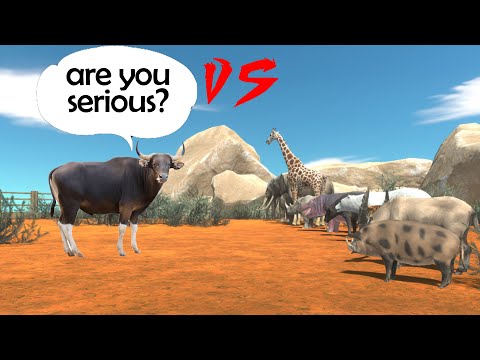 Bull vs Every Animal - Animal Revolt Battle Simulator