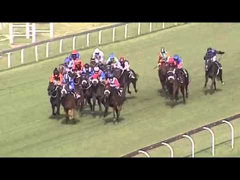 2016.02.27 Gauteng Guineas (RSA) - Abashiri