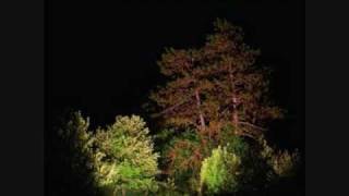 Department of Eagles- Waves of Rye