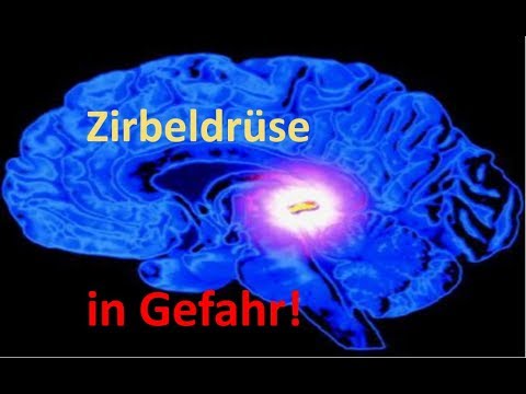Kein Bild