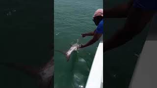 Hôtel Kasa Afrikana