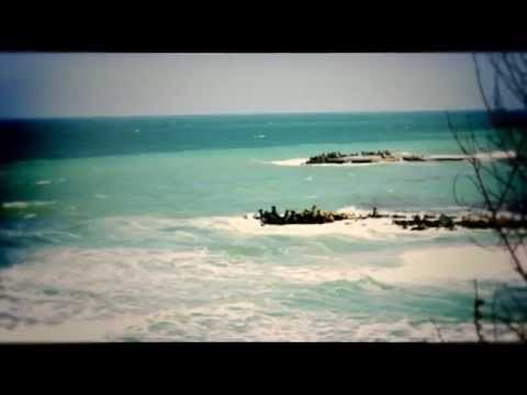 Samurai - Fost crescut așa | prod. Spectru (FREESTYLE)