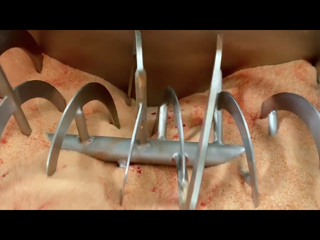 imagen-video-thefoodtech