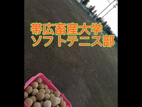帯広畜産大学 ソフトテニス部 活動紹介（2022）