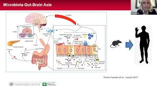 EEL Webinar: The relation between microbiote and endometriosis -  Paola Vigano /Attila Bokor
