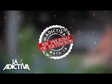 La Adictiva - En Peligro De Extinción [Lyric Video]