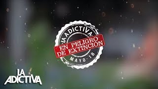 La Adictiva - En Peligro De Extinción [Lyric Video]