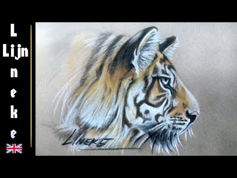 Easy TIGER for beginners Pastel pencil drawing