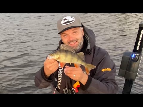 5 vinkkiä parempaan ahvensaaliiseen - Ahvenenkalastus - Kalastus