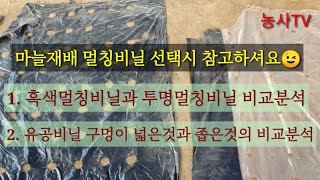 마늘재배-마늘 멀칭비닐 선택시 참고사항 [농사TV]