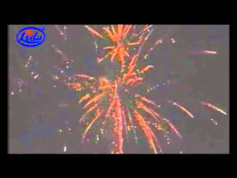 LDC332 100 100'S GOLD STROBE FLOWER TAIL BROCADE CROWN CHRYS 45sec