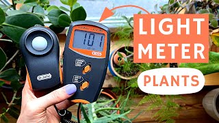 HOW TO USE LIGHT METER FOR PLANTS?