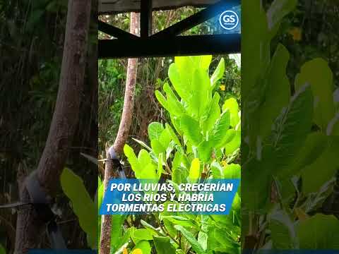 Persisten las alertas por lluvias en Córdoba: advierten posibles crecientes en el río Sinú