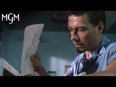 Thumbnail for video: The Records Room Thumbnail for video: The Records Room