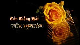 Video hợp âm Giây Phút Mong Manh Hoàng Bách