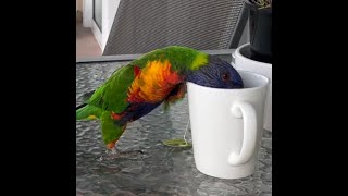 Lord Have Mercy   Day 3