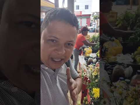 FEIRA DE SANTA INÊS BAHIA #shorts #feira #santainês #bahia #turismo #entretenimento #cultura #cidade