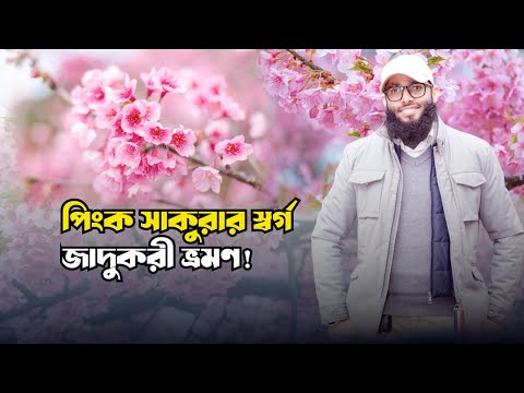 পিংক সাকুরার স্বর্গ, জাদুকরী ভ্রমণ || Badrul Bin Afruz