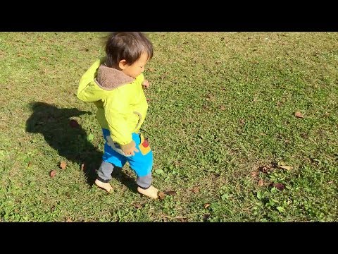 CAMINANDO VOY🏃- Canción motriz para niños