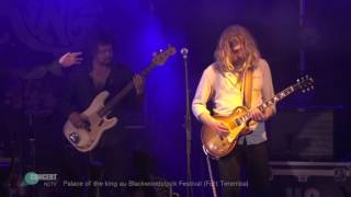 NCTV CONCERT : PALACE OF THE KING