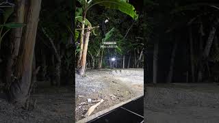 Download lagu Tunggu aku di surga #subscribe #fypシ #fypdoooooonggggggg #shortvideo mp3