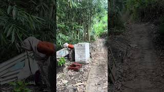 Download lagu Meleng dikit ilang😳 #comedy #lucu #ngakak #funny #komedi mp3 Download lagu Meleng dikit ilang😳 #comedy #lucu #ngakak #funny #komedi mp3