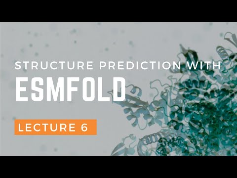 Structure Prediction with ESMFold