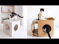 DIY : UNE JOLIE MAISON POUR NOS CHATS ! & TEST DE L'EUREKA AK10