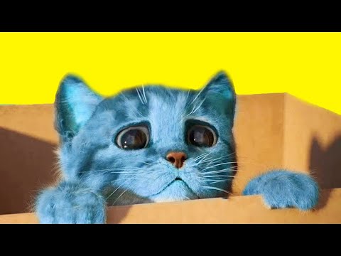 CUTE LITTLE KITTEN ADVENTURE -  KITTY & FRIENDS ADVENTUROUS JOURNEY CARTOON VIDEO #943