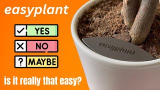 What to know about Easyplant self-watering pots - My experie