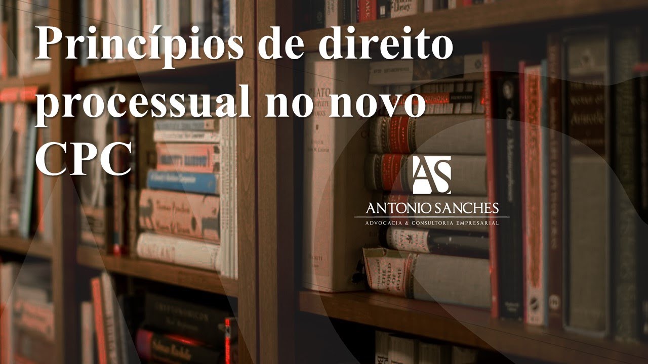 princípios de direito processual no novo CPC e na Constituição