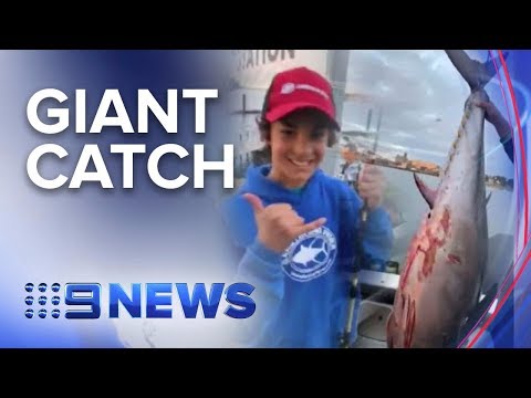 Teenager lands second record breaking catch | Nine News Australia