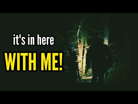 Something is Lurking in this Forest - with ME!