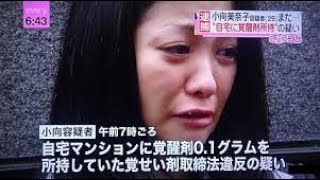 夏は喧嘩の季節、冬は犯罪の季節。（失敗哲学）