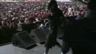 The Used - Box Full of Sharp Objects(Live at Warped Tour)
