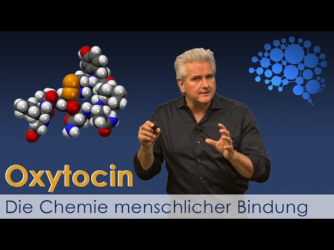 Oxytocin - The Chemistry of Human Bonding │Dr. Dr. Damir del Monte│Encephalon Brain Worlds