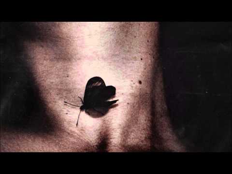 Solander - All opportunities