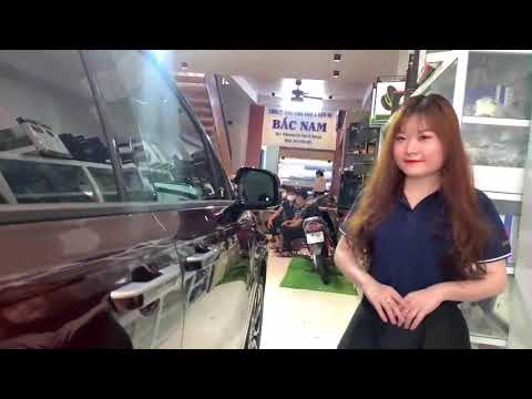 Cửa hít ô tô Zin theo xe cho KIA Carnival