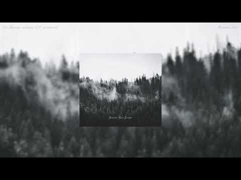 Funeral Rain Forest - Marche nocturne (3rd movement)