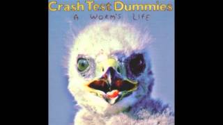 Crash Test Dummies - An Old Scab