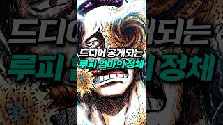 드디어 공개되는 루피 엄마의 진짜 정체