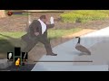 Man Vs Goose Dark Souls Boss Meme