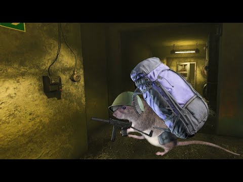MP7Chad is inconvenienced by Kedr Rat