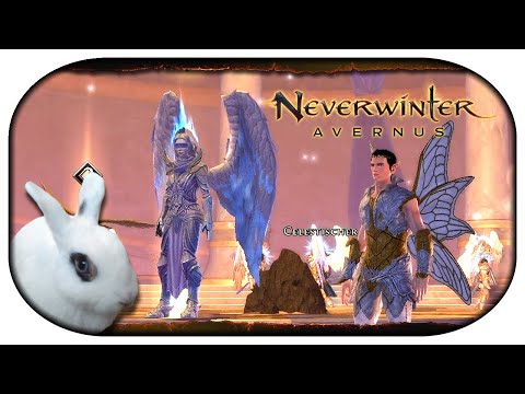 NEVERWINTER: Avernus 🐇 10 - Fügung des Schicksals