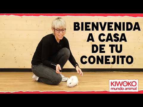 Part of a video titled Cuidados del Conejo 【Bienvenida a Casa 】 - YouTube