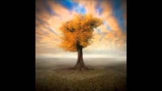 J&#39;ai tant rêvè