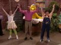 Mad Tv Sesame Street Bird Flu High Quality
