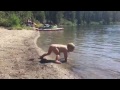 June swimming String lake